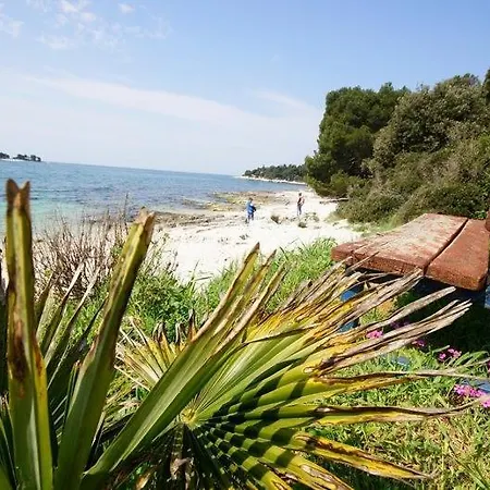 In With Sea View, Balcony, Air Conditioning, Wifi 81-1 * Rovinj
