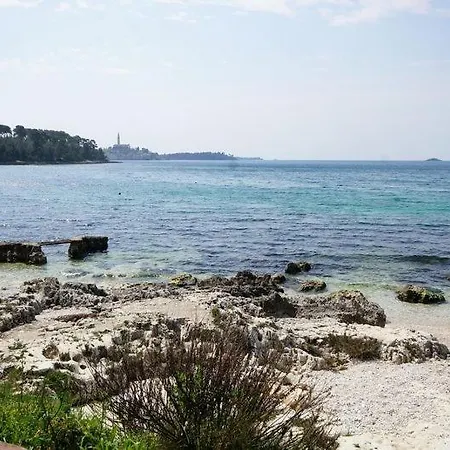 In With Sea View, Balcony, Air Conditioning, Wifi 81-1 Guest house *