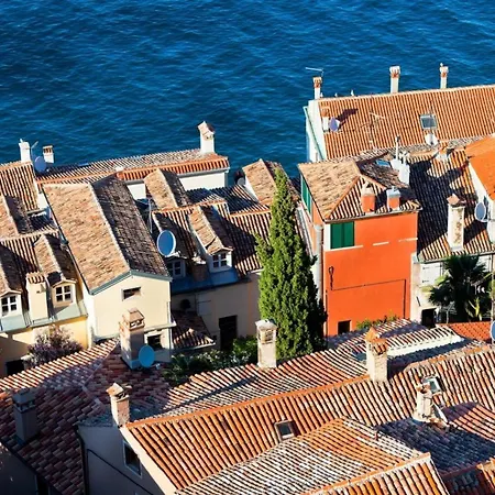 Guest house In With Sea View, Balcony, Air Conditioning, Wifi 81-1